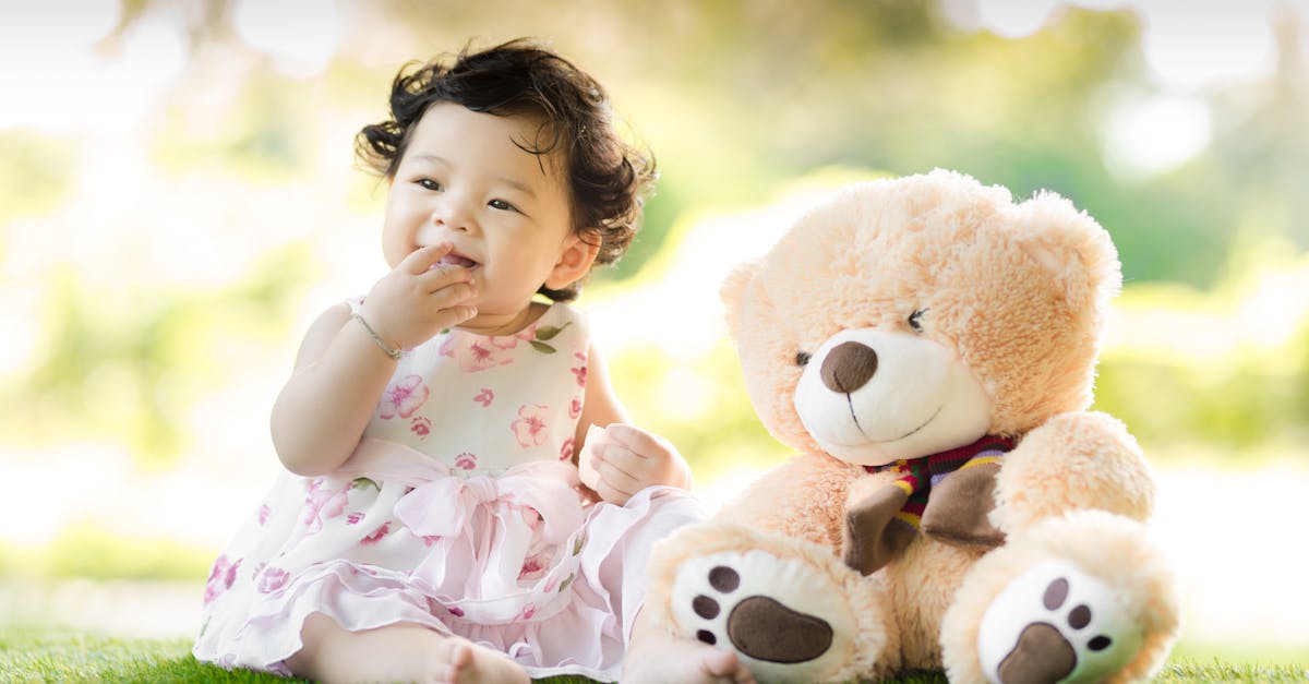 ¿Cuál es el origen del nombre oso de peluche?