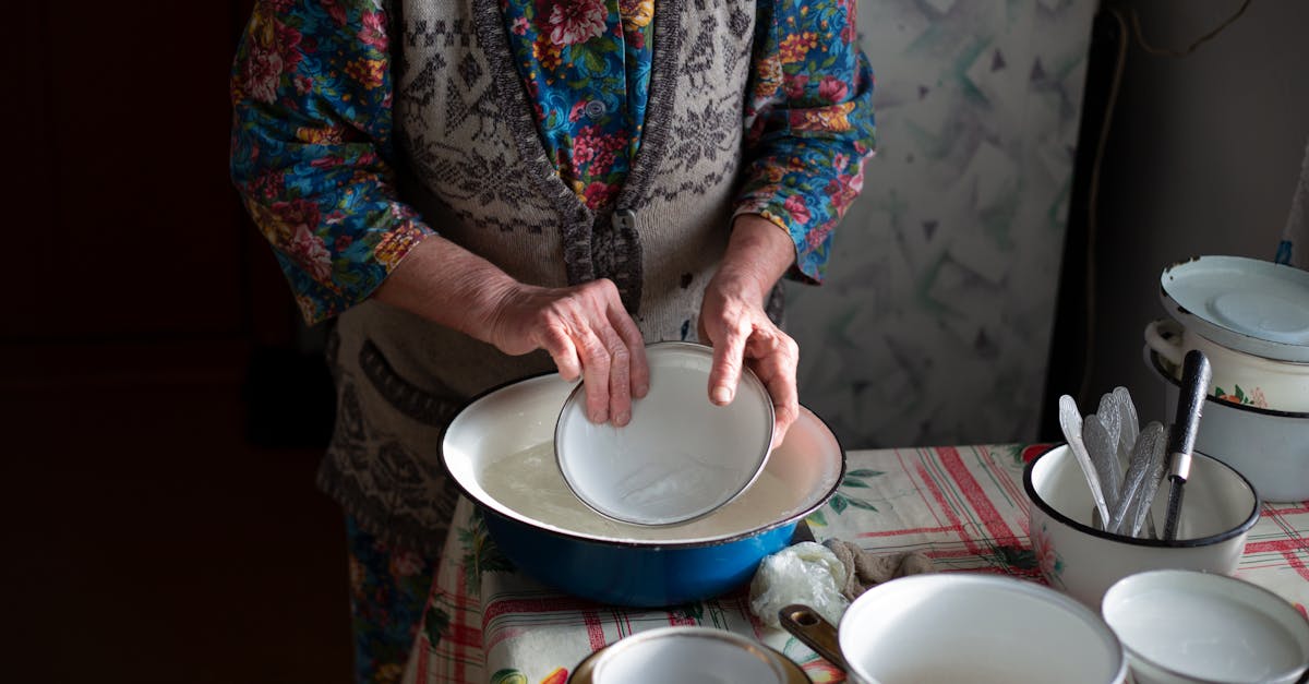 ¿Cuáles son los platos tradicionales alemanes más populares?