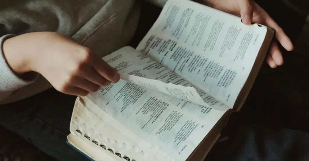 ¿Cuántas similitudes hay en la Biblia? Descúbrelo aquí.