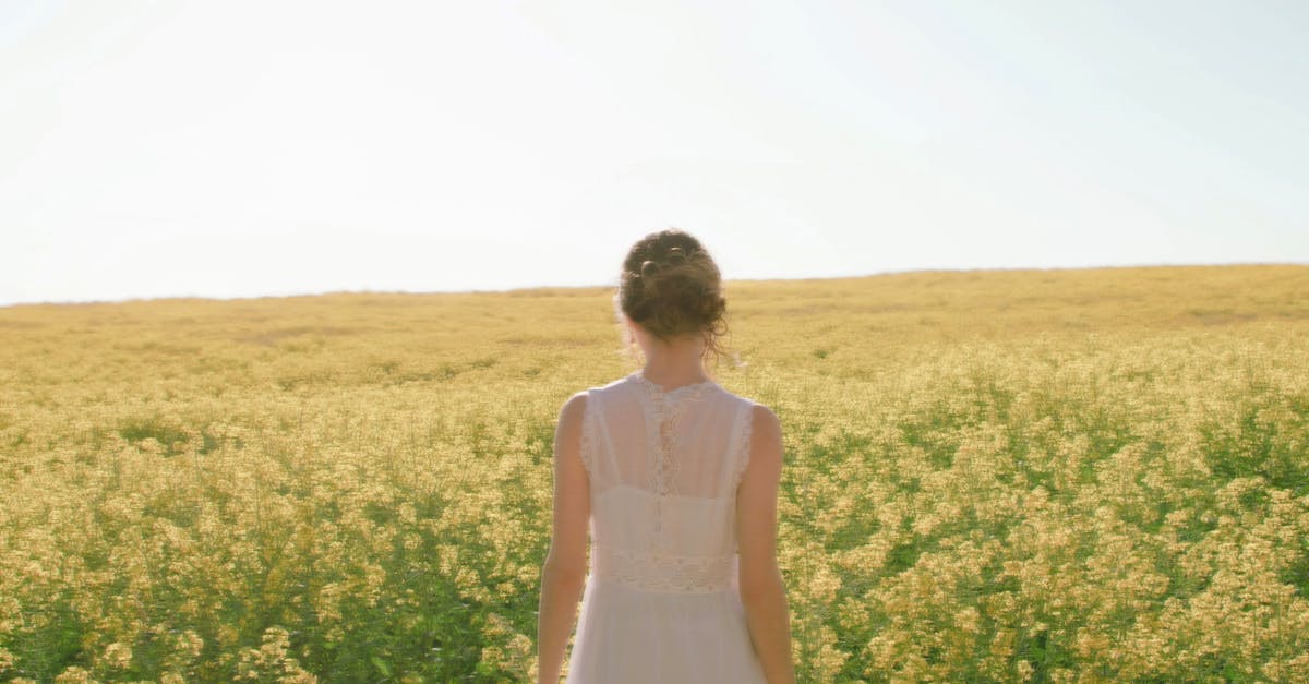 ¿Por qué los videos de gatos son tendencia en el cottagecore?