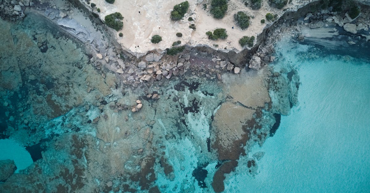 ¿Por qué Paphos es el destino vacacional perfecto?