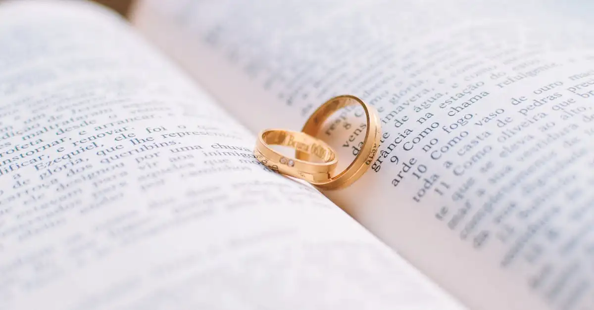 ¿Qué es la Promesa Celestina en un libro?