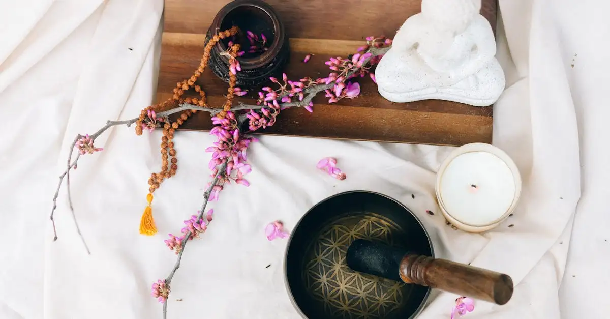 ¿Qué es un ermitaño y cuáles son sus actividades?