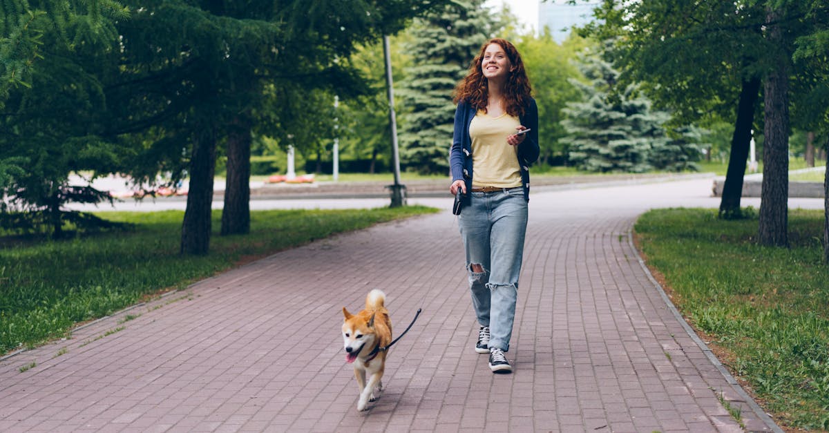 ¿Qué raza era Hachi y por qué es famosa su película?
