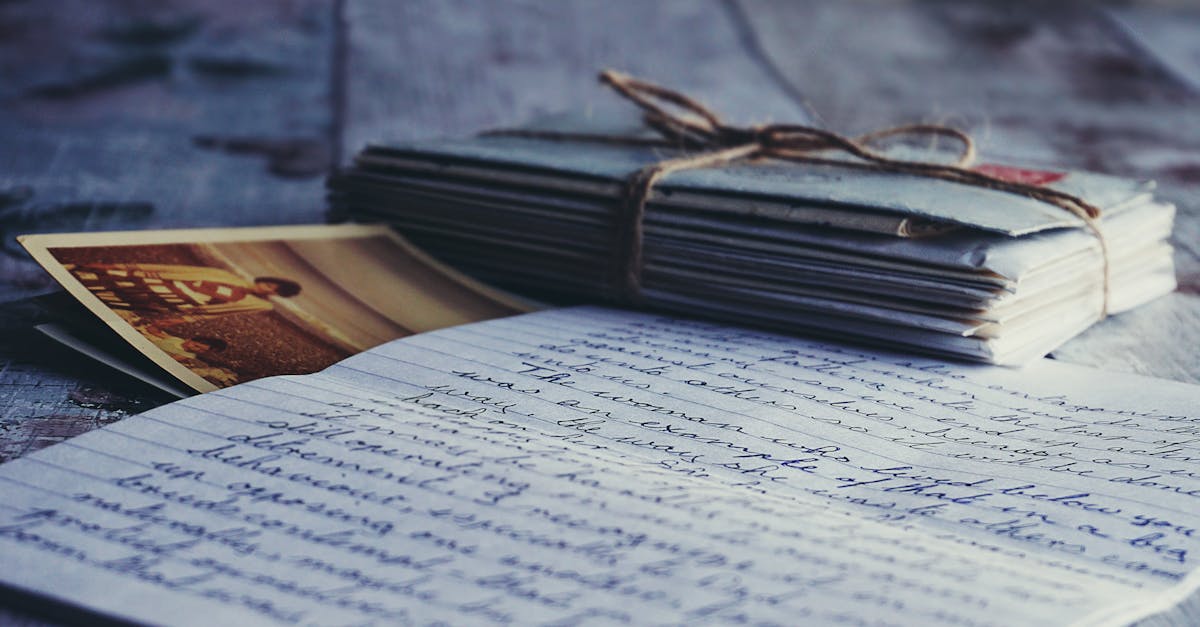 ¿Sabes cuál es la historia de Lassie? ¡Descúbrelo aquí!