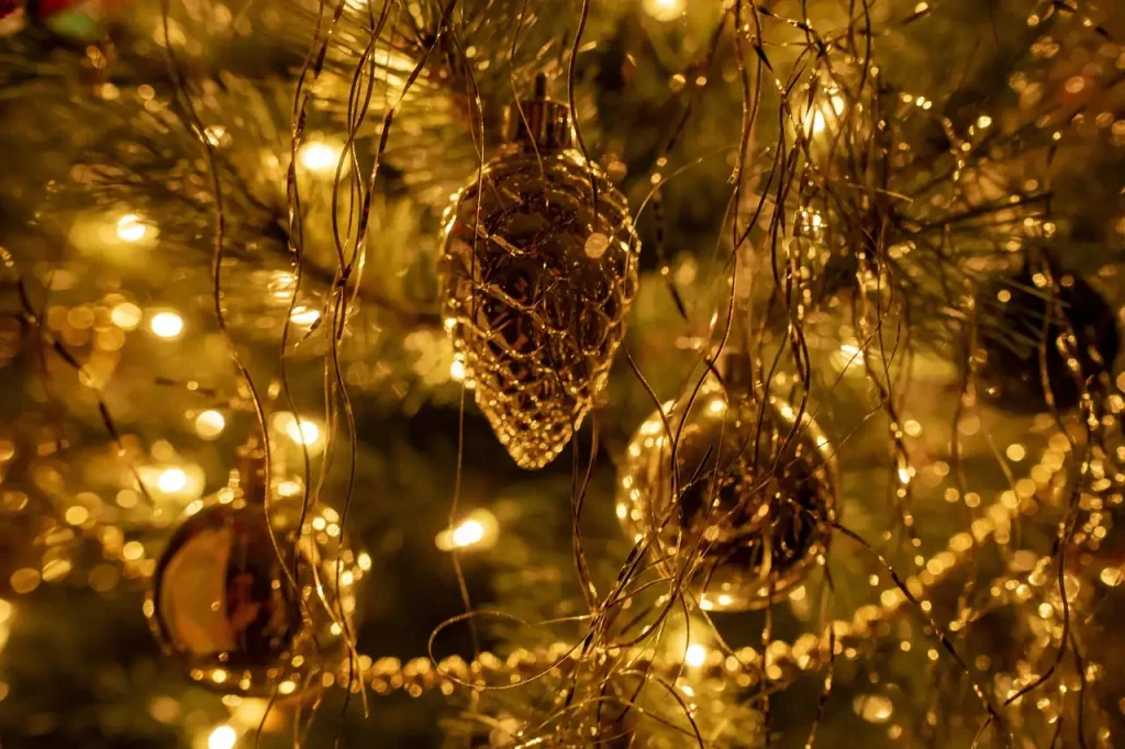 ¿Cómo elegir y cuidar un árbol de Navidad adecuado?