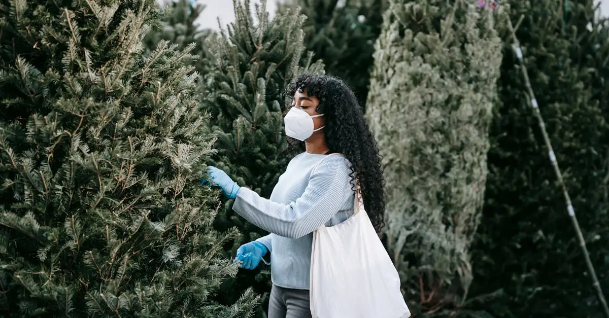 ¿Cómo elegir y cuidar un árbol de Navidad adecuado?