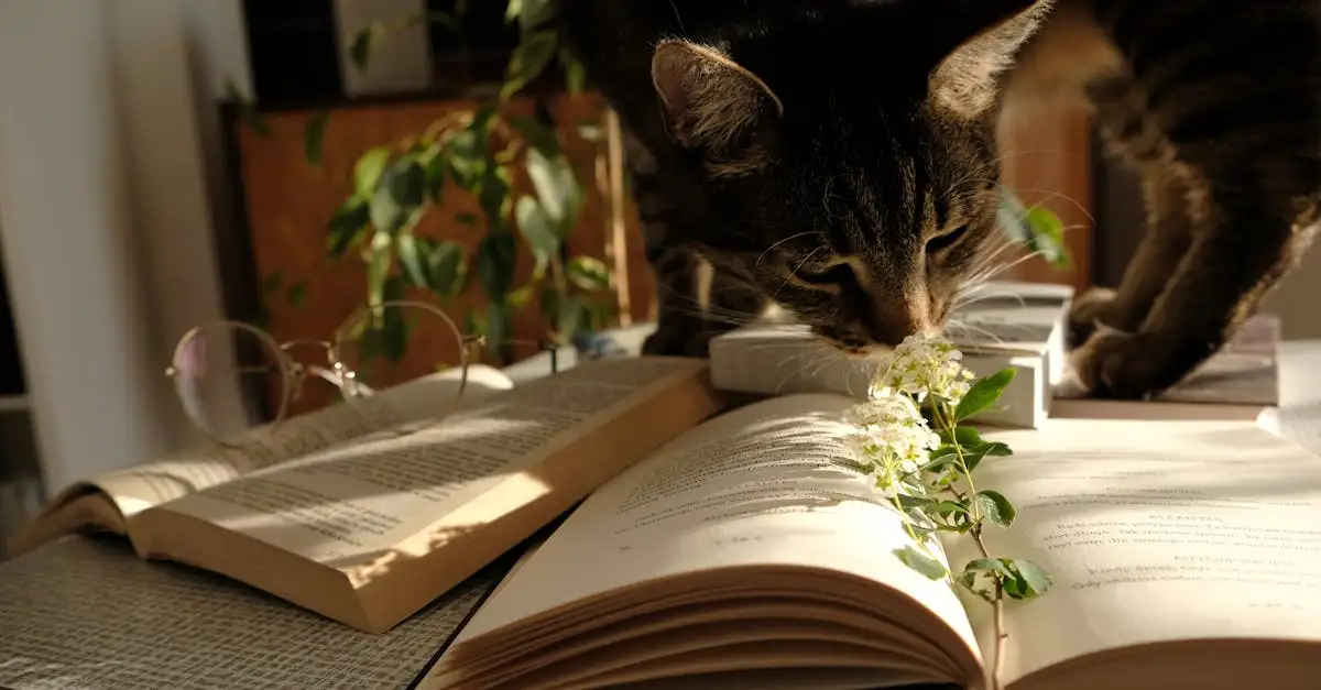 ¿Cómo estudian los científicos el comportamiento de los gatos?