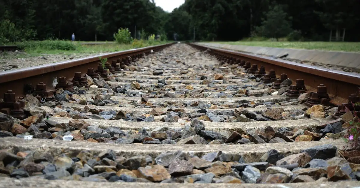 ¿Cuál fue el impacto de los ferrocarriles en comercio y ciudades?