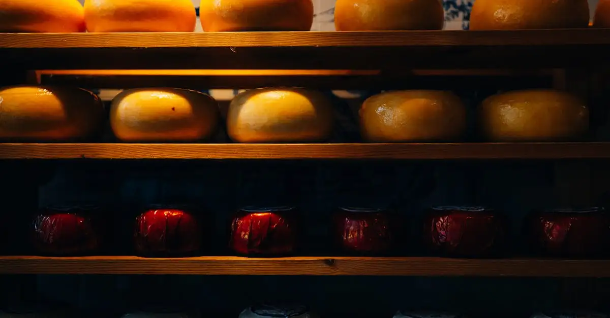 ¿Cuáles son las 3 especialidades culinarias de los Países Bajos?
