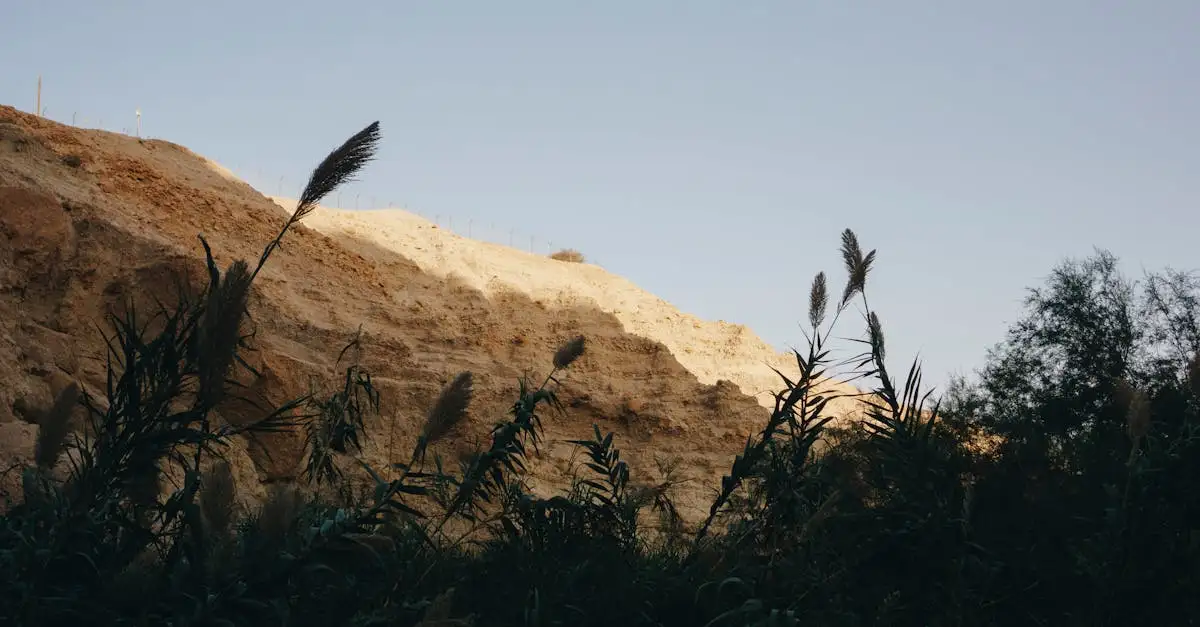 ¿Dónde está el único lago salado en el Parque Nacional Ein Gedi?