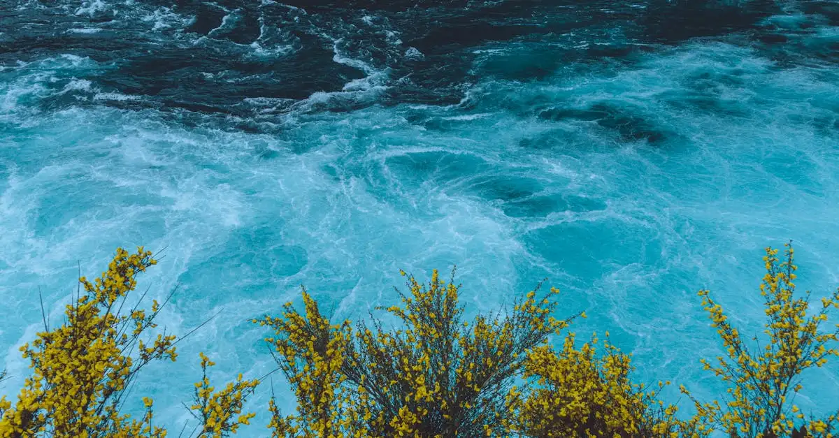 ¿El Desaguadero es el río que alimenta el lago Titicaca?