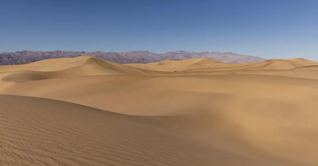 ¿Es el desierto de Carcross el más pequeño del mundo?