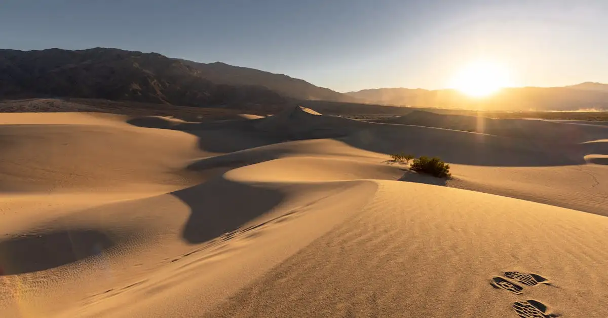 ¿Es el desierto de Carcross el más pequeño del mundo?