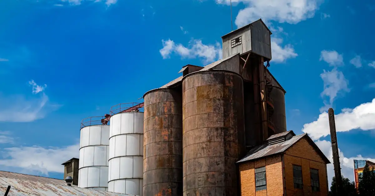 ¿Qué actividades y eventos divertidos puedes disfrutar en Bolivia?