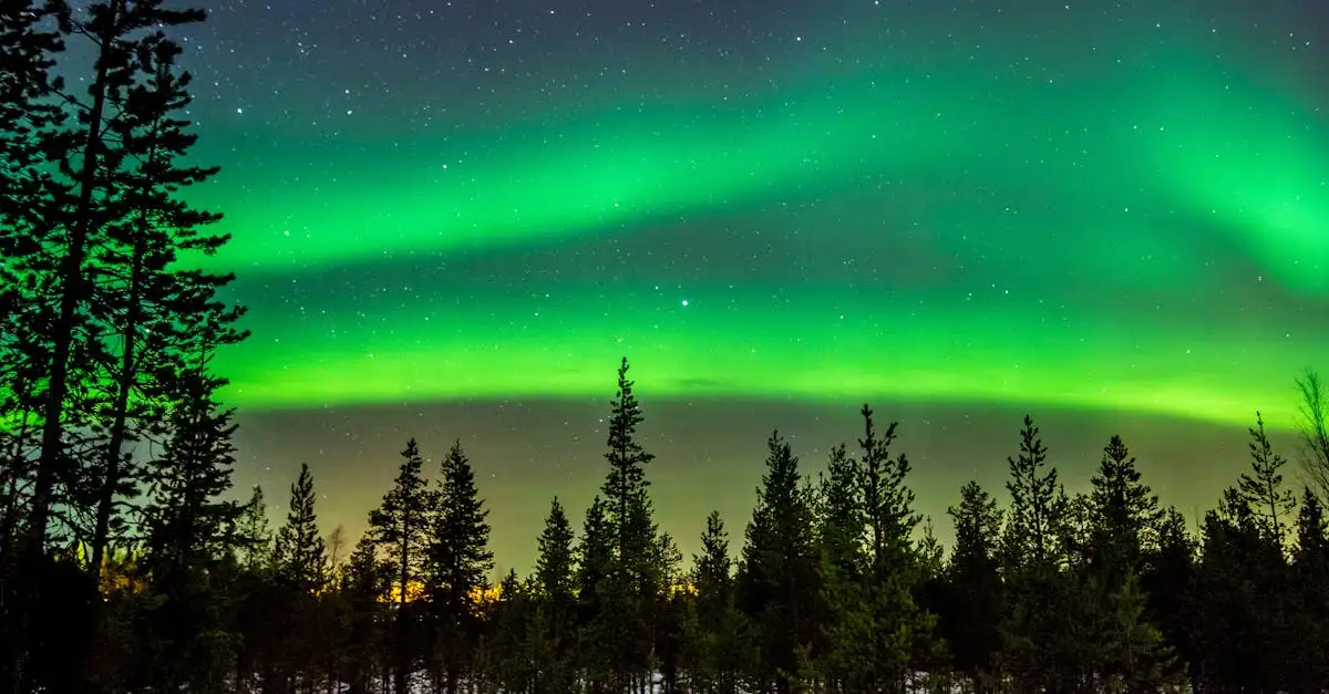 ¿Qué actividades y eventos únicos puedes disfrutar en Finlandia?