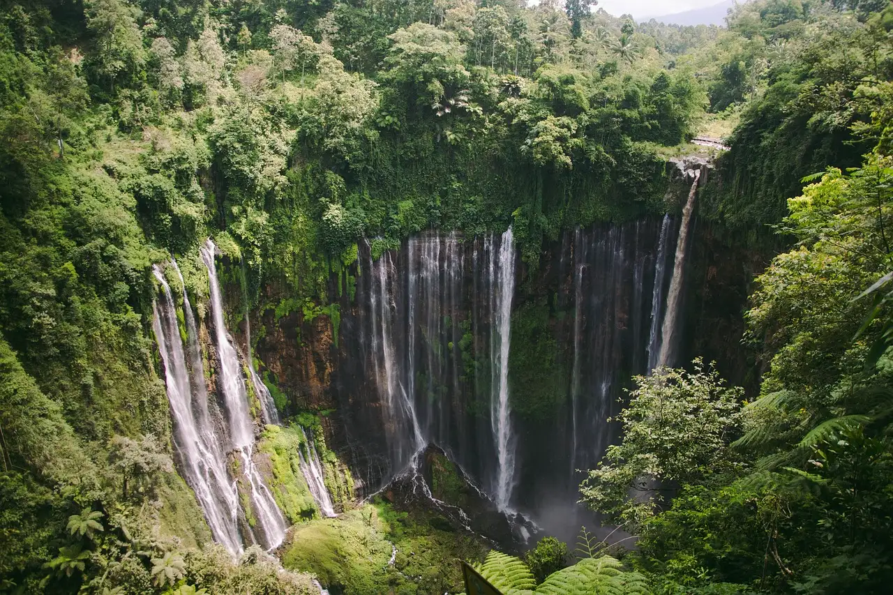 ¿Qué ciudad de Indonesia destaca por sus plantaciones de pimienta?