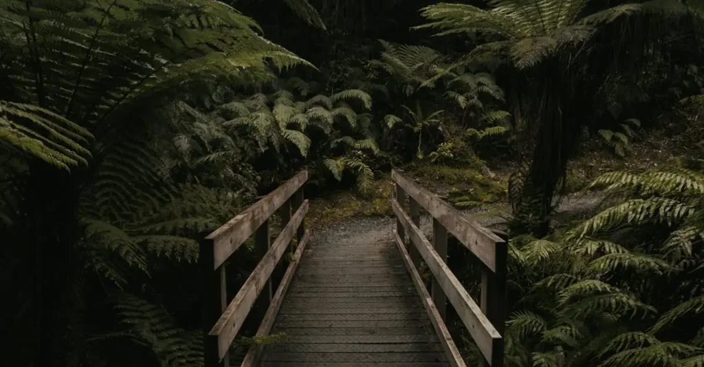 ¿Qué región de Australia cuida plantas únicas y raras?