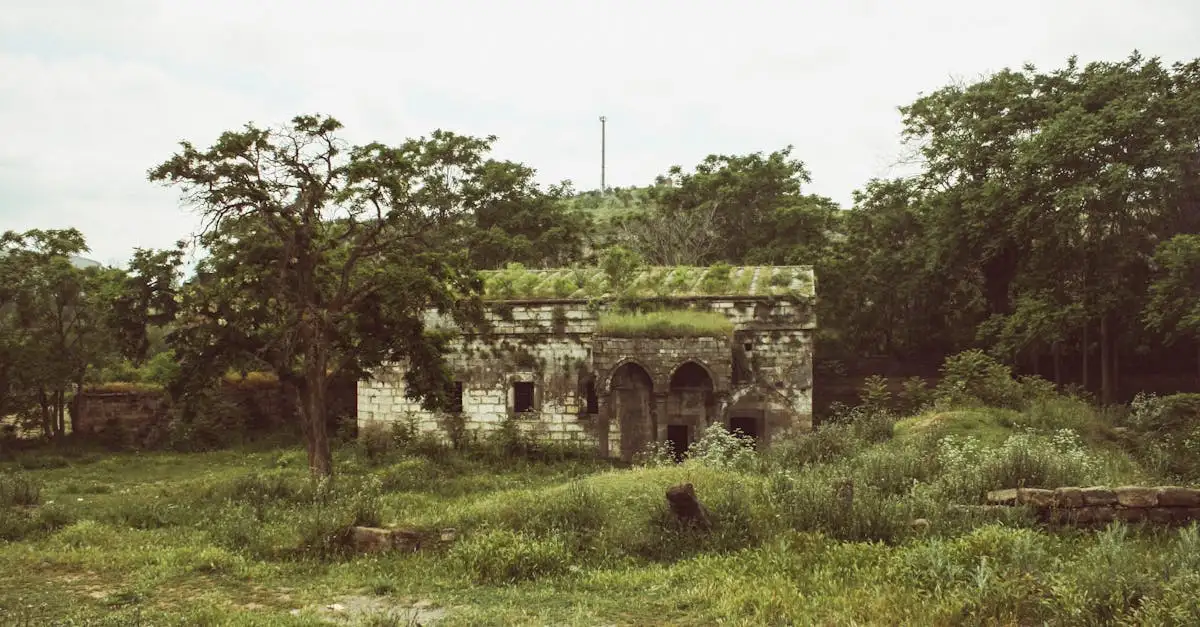 ¿Conoces la breve historia de Uganda? Descúbrela aquí.