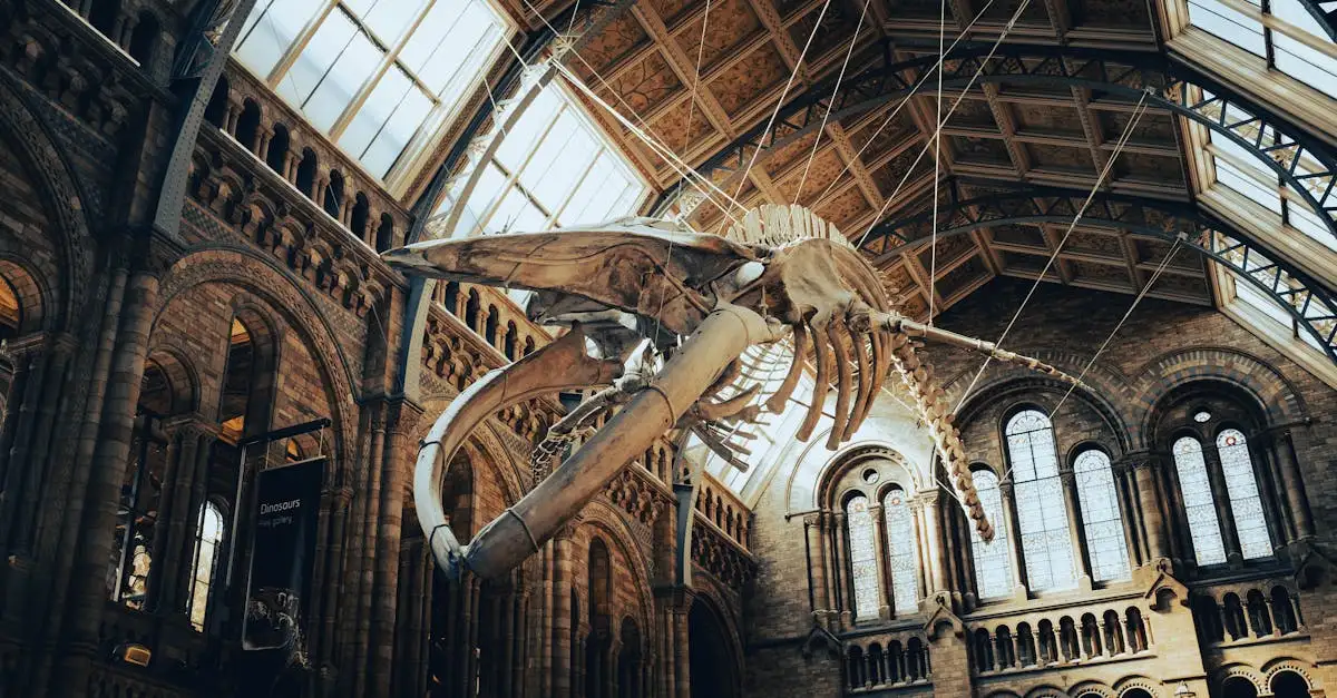 ¿Dónde está el Museo de Historia Natural en Londres?