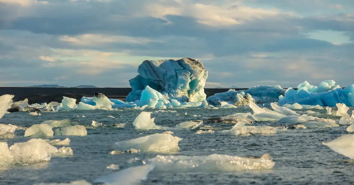 ¿Es la Antártida el desierto más frío del mundo?