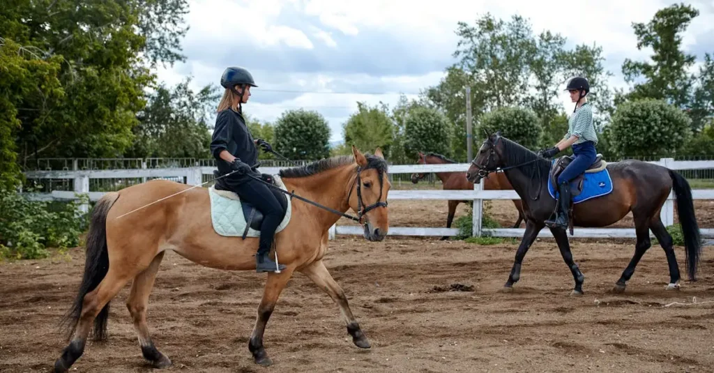¿Por qué la equitación es un deporte olímpico reconocido?