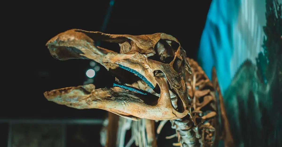 ¿Qué nos cuentan los fósiles sobre las colas de dinosaurios?
