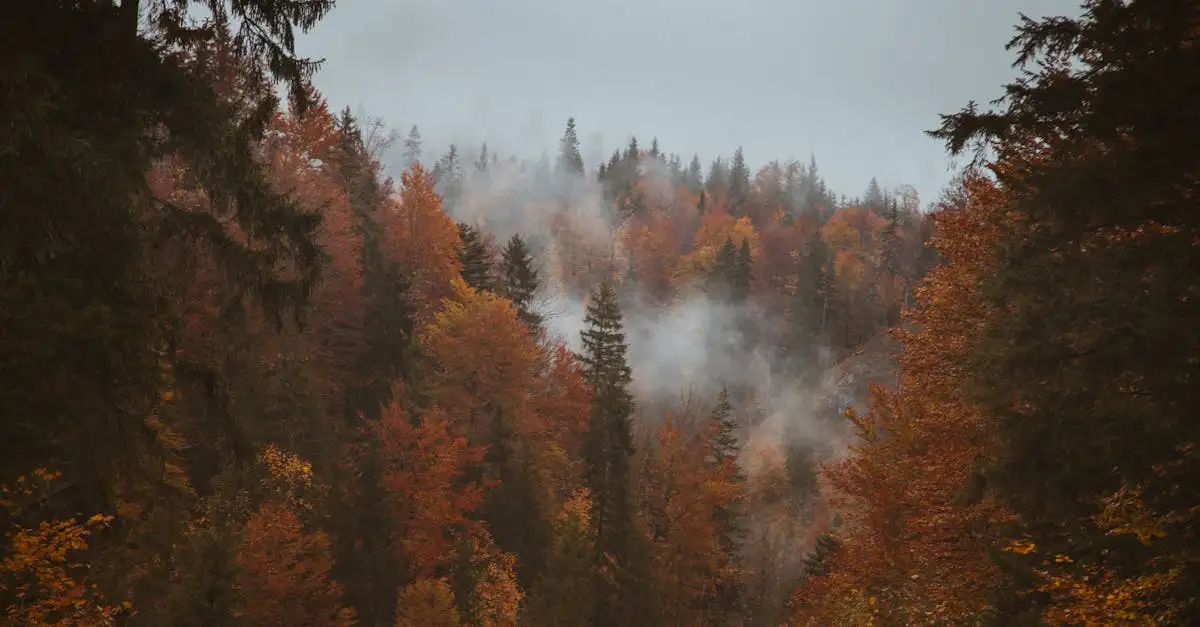 ¿Qué ofrece el Parque Nacional Hohe Tauern en Austria?