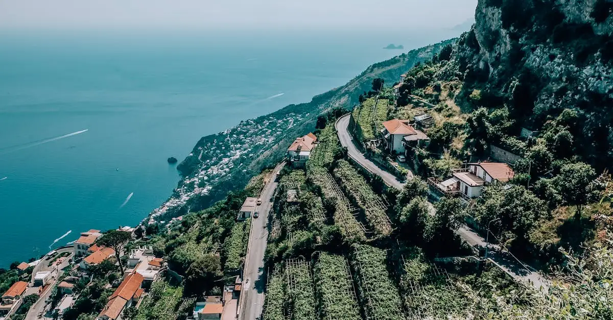 ¿Sabes qué ciudad chilena destaca por sus viñedos?