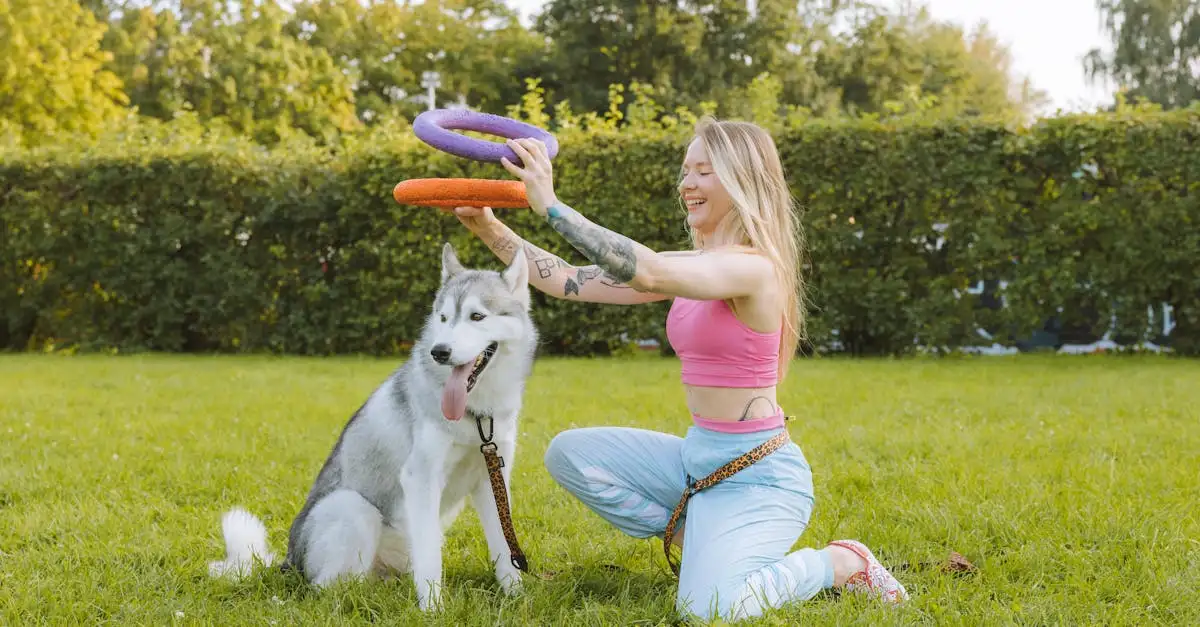 ¿Cómo influyen los perros en el entretenimiento actual?