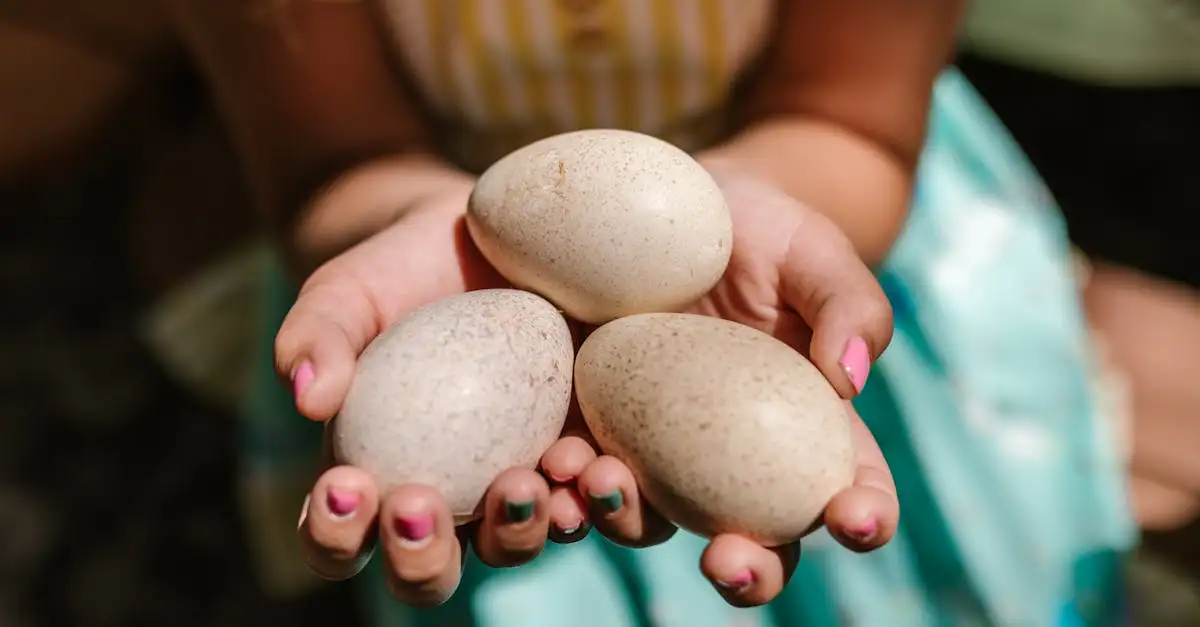 ¿Qué papel jugaron las Tres Hermanas en la agricultura?