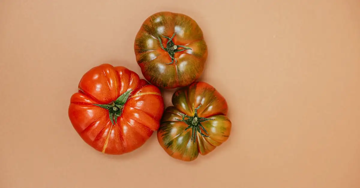 ¿Qué papel jugaron las Tres Hermanas en la agricultura?
