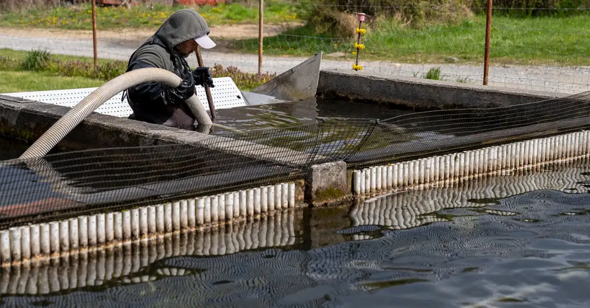 ¿Cómo gestionaron los otomanos las fuentes de agua eficientemente?