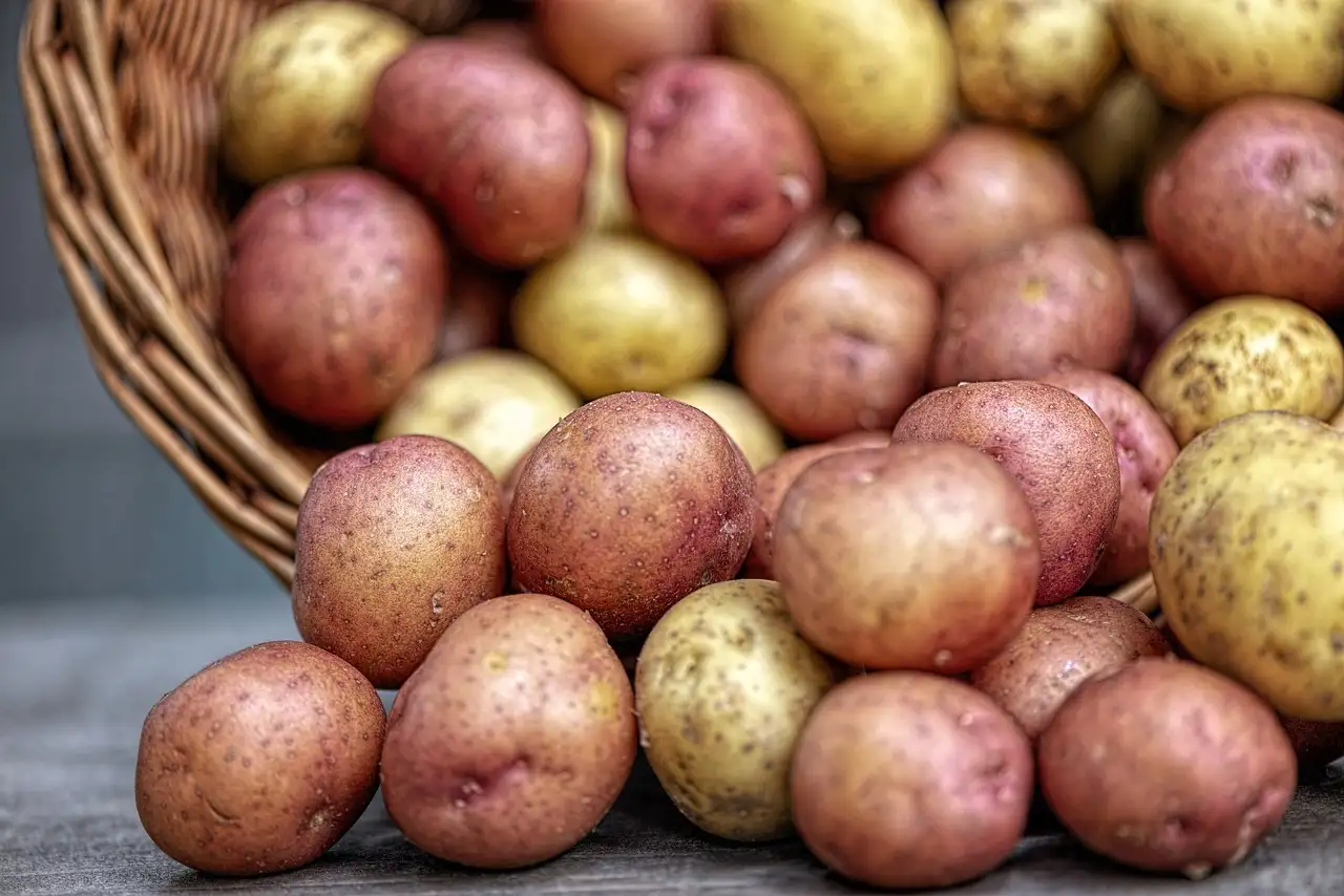 ¿Cómo guardar las papas para que se mantengan frescas?
