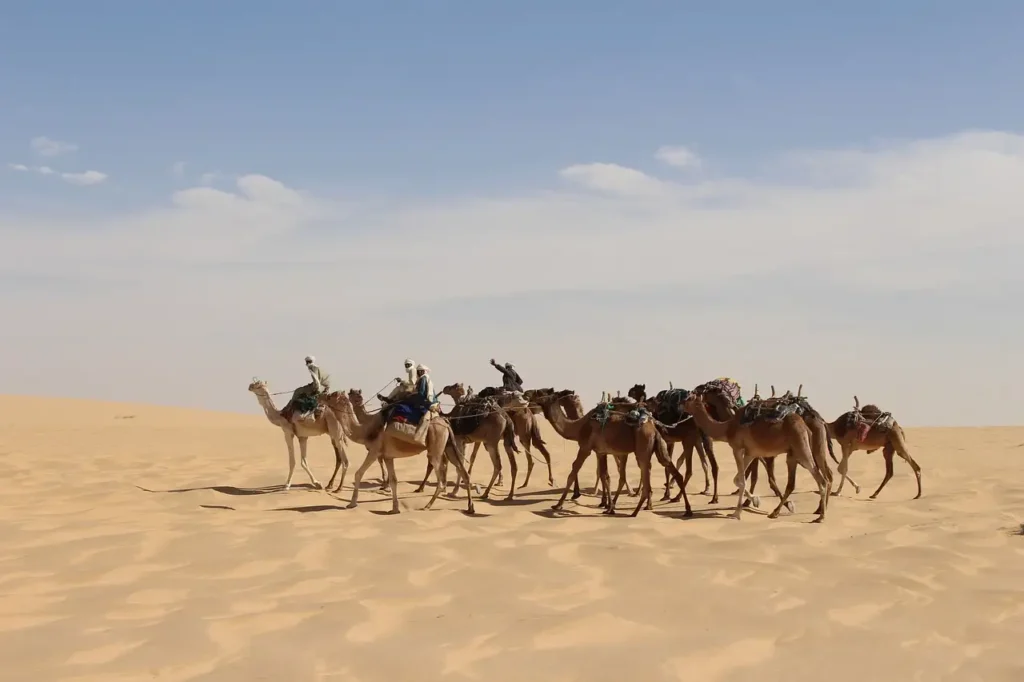¿Cuál es la capital de Chad y su historia detrás?