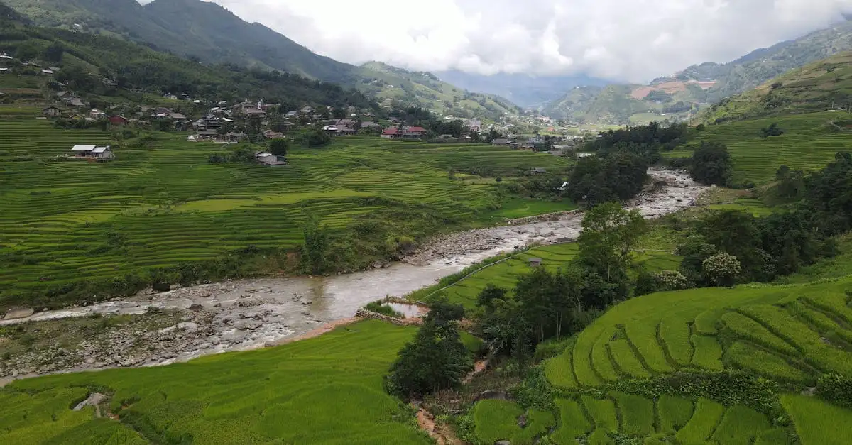 ¿Dónde están los vibrantes campos de arroz en Sapa, Vietnam?
