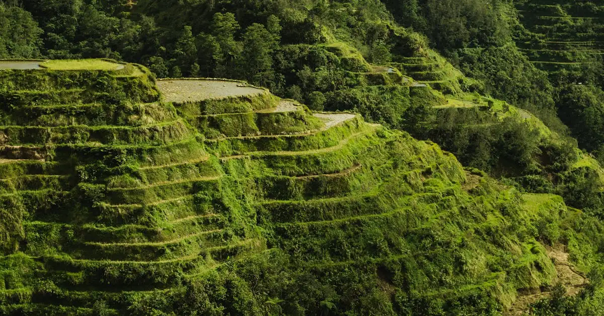 ¿Dónde se encuentran los famosos campos de arroz de Banaue?