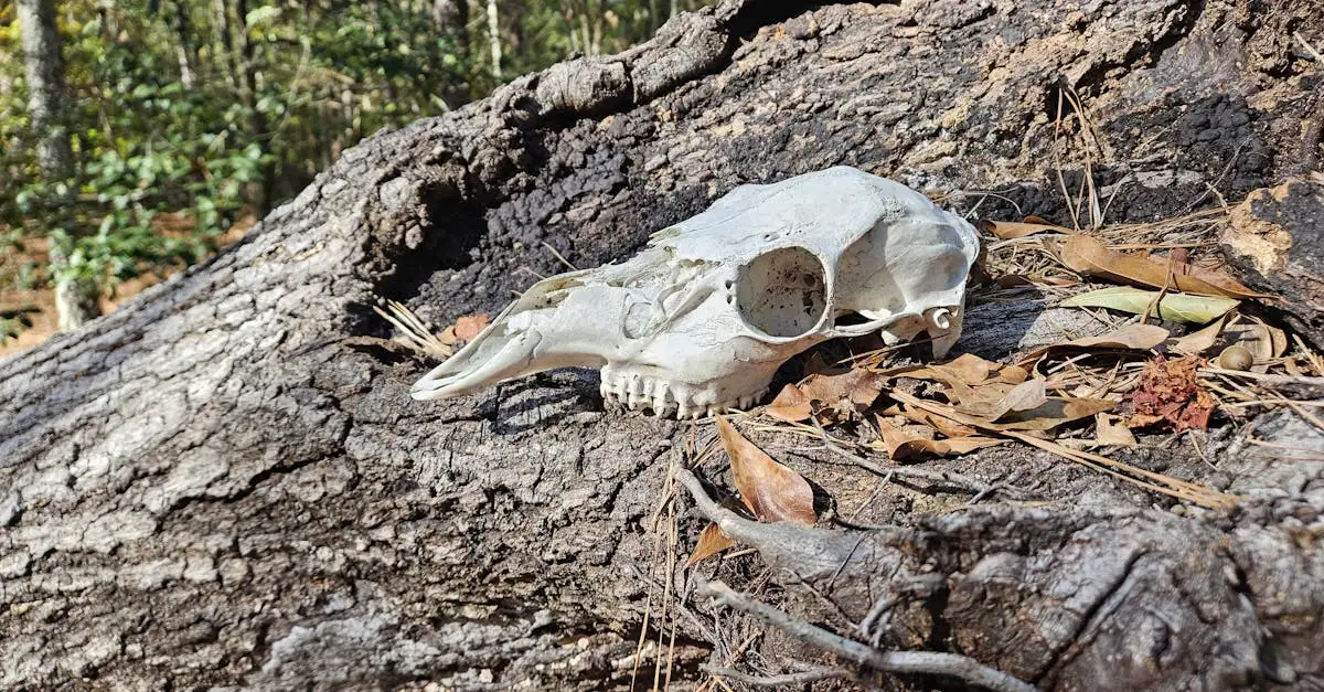 ¿En qué época habitaron los neandertales la Tierra?