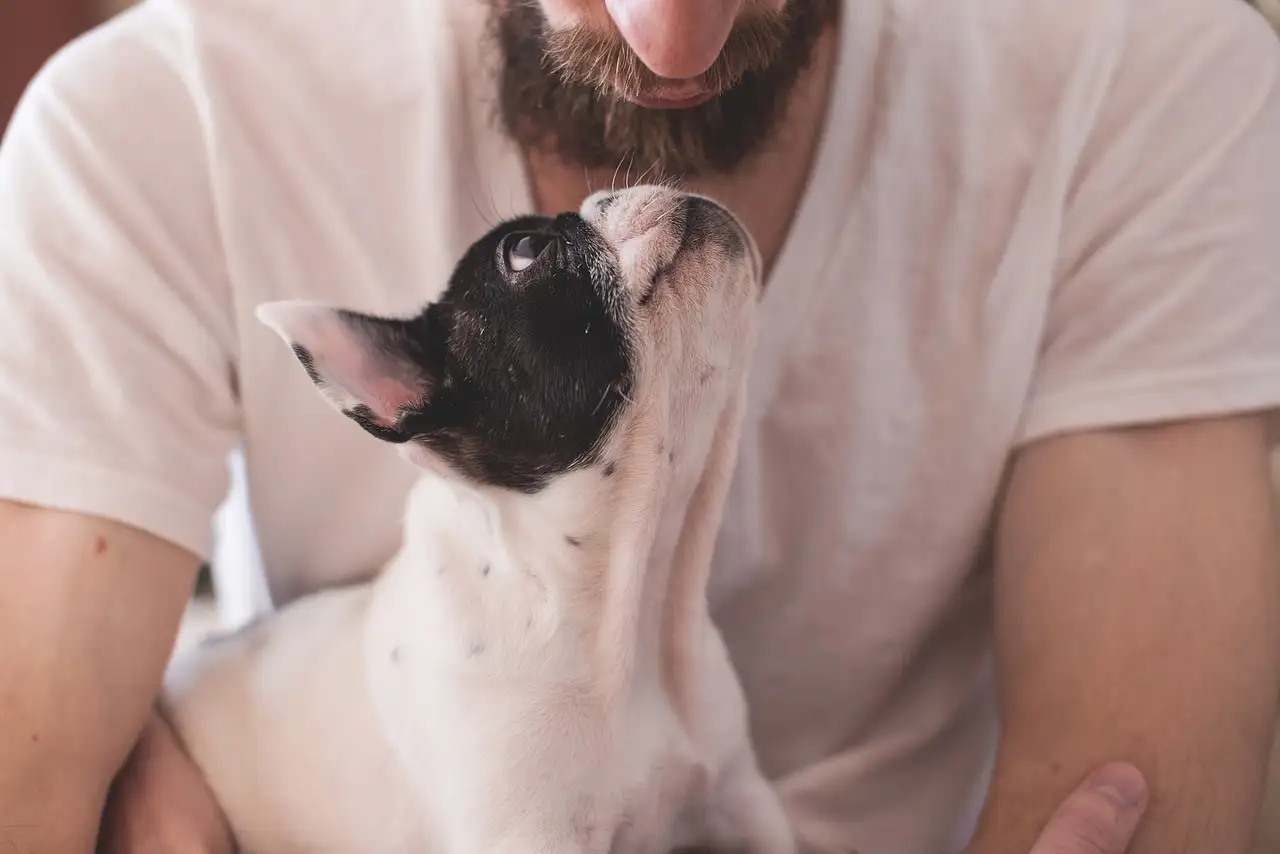 ¿Hallazgos fósiles revelan la conexión entre perros y humanos?