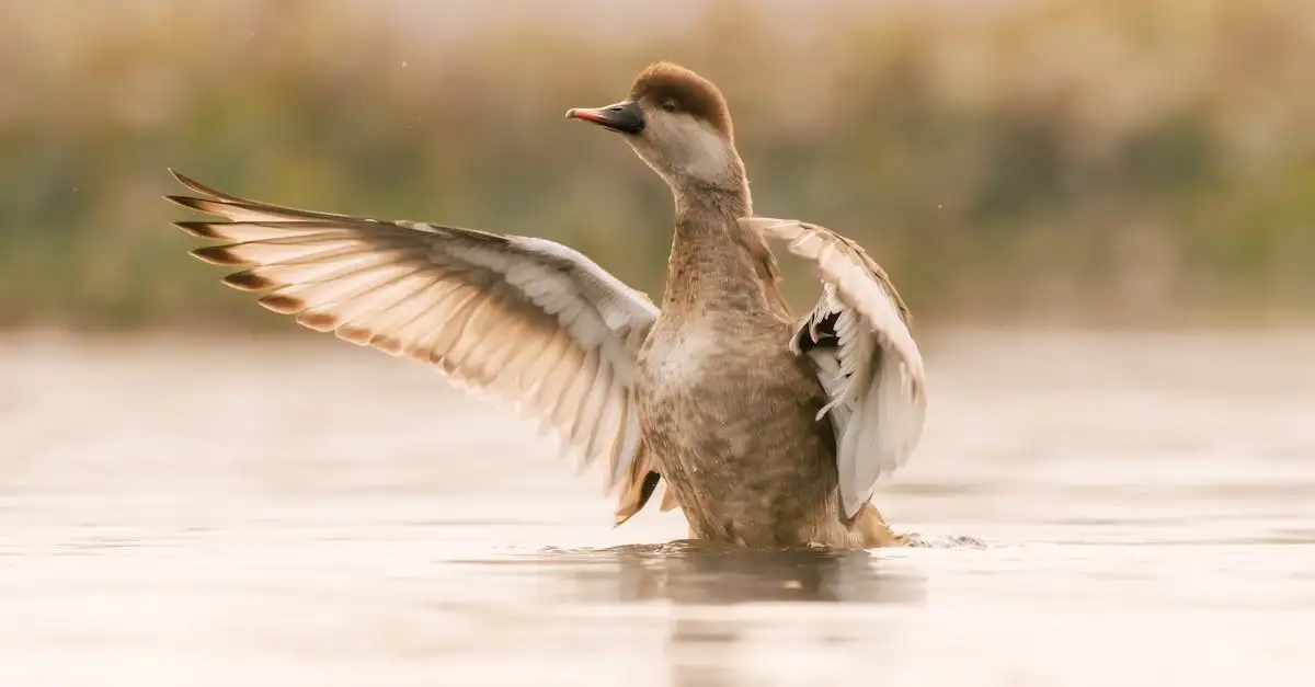 ¿Qué animales habitan en el lago Chilwa de Malawi?