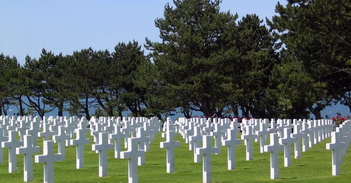¿Qué papel tuvo la Cruz Roja en tiempos de guerra?