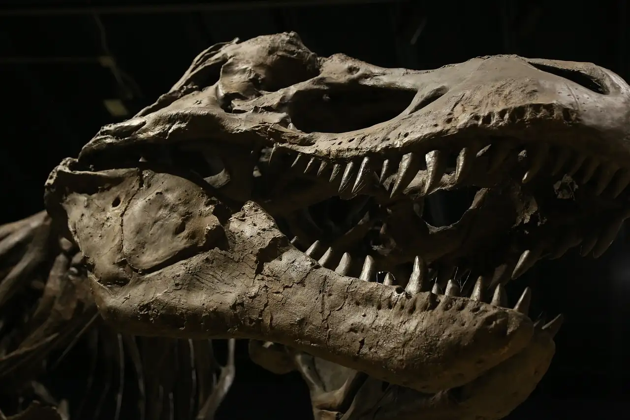 ¿Qué provocó la extinción masiva del Triásico?
