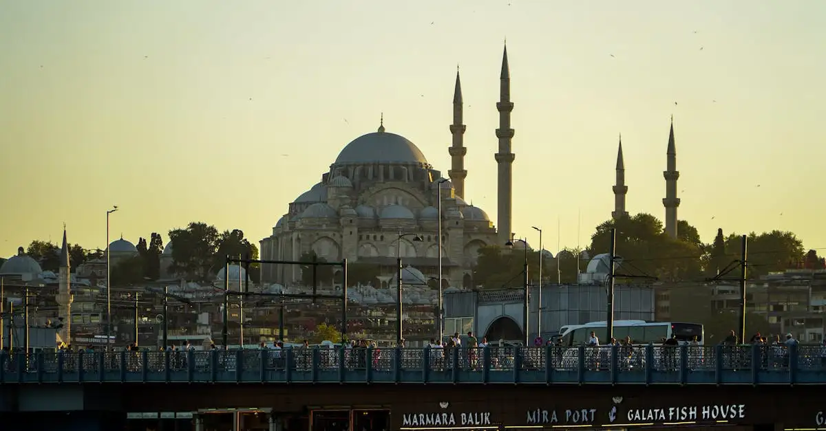 ¿Fue crucial el Bósforo para el Imperio Otomano?