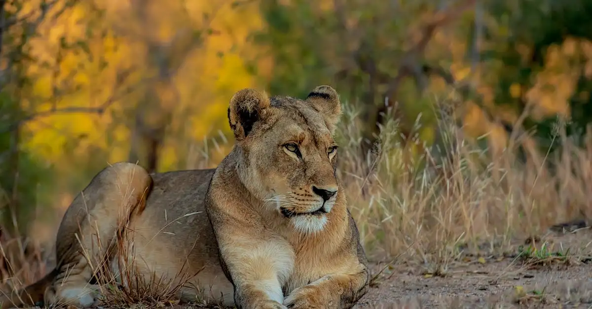 ¿Por qué es famoso el Parque Nacional Serengeti en Tanzania?