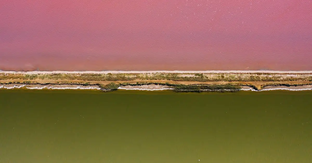 ¿Cómo afecta el Lago Urmia al medio ambiente y la sal?