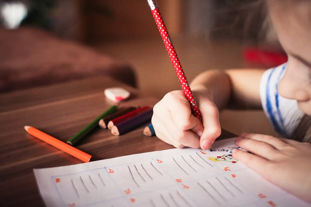 ¿Cómo afecta la política de inclusión a la educación especial?