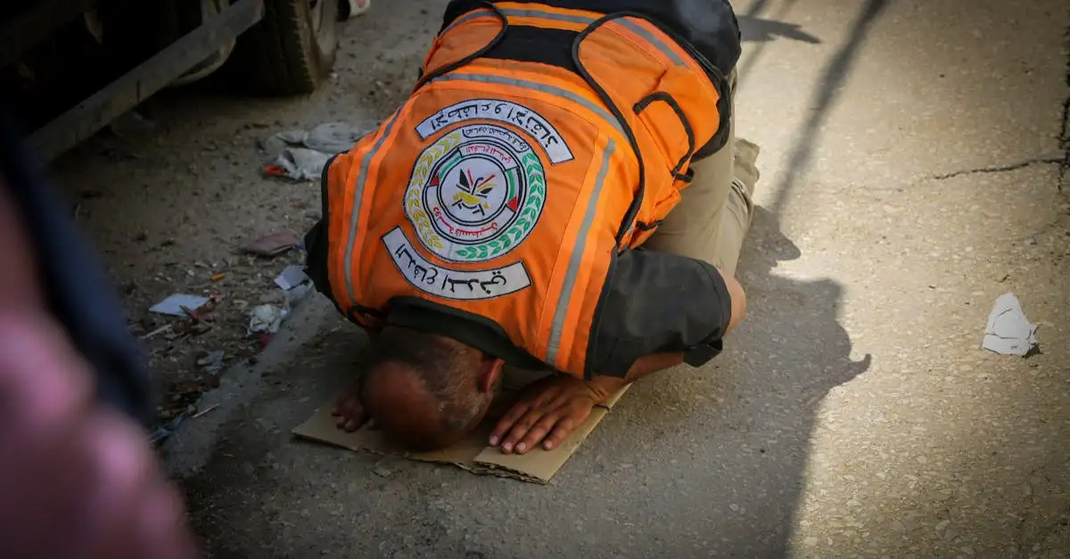 ¿Cómo ha afectado la guerra a Palestina y su población?