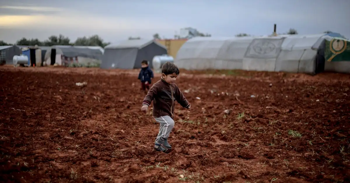 ¿Cómo impactó la guerra en la infancia de los jóvenes?