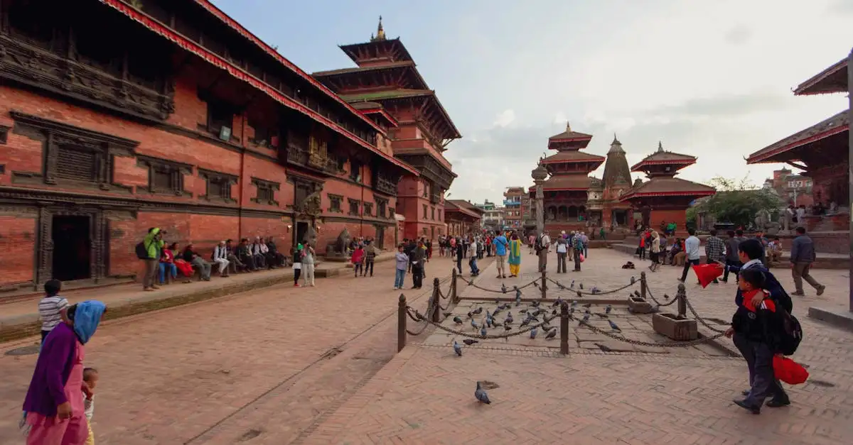 ¿Cómo influyeron las palomas en nuestra historia?