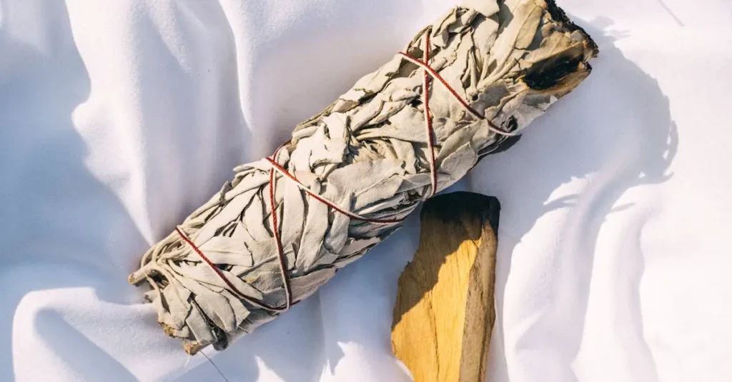 ¿Cuál es el papel de la salvia en ceremonias indígenas?